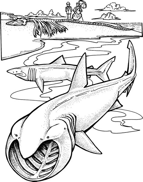 big mouth shark coloring page  printable coloring pages  kids