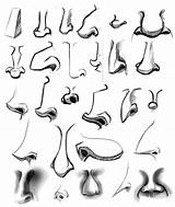 Noses Caricature Caricatures Nariz Dessiner Karikaturen Nez Comment Naso Caricatura Dibujar Mãos Narices Facce Fumetti Disegnare Dessinée Fusain Leggi Personaggio sketch template