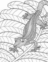 Colouring Adult Lizard Pages Coloring Animals Choose Board sketch template