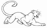 Panther Puma Coloring Pages Drawing Animal Florida Color Panthers Print Cougar Printable Draw Getcolorings Getdrawings Drawings Sheets Colorings Lamb Animals sketch template