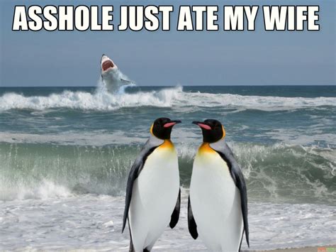 16 penguin memes that are too adorbs for words word porn