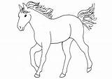 Pferde Obrázky Kreslené Koně Omalovánky Koní sketch template