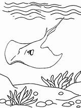 Stingray Epic Coloringpagesfortoddlers sketch template