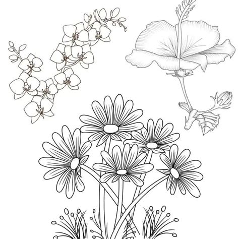 easy  print flower coloring pages flower color vrogueco