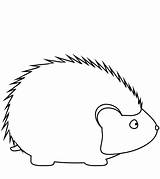 Hedgehog Coloring Cute Simple Pages Printable Drawing Supercoloring Categories sketch template