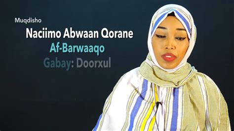 daawo abwaanad somaliland ah gabay kula hadashay farmaajo youtube