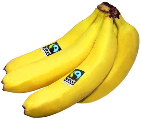 tout pour etre bien la banane bio