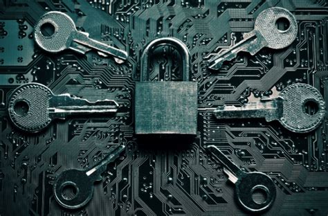 recovering   data breach  steps  combat vulnerabilities