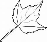 Leaf Coloring Printable Pages Kids Draw sketch template