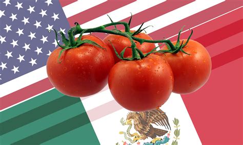 Estados Unidos Impone Arancel De 17 5 Al Tomate Mexicano