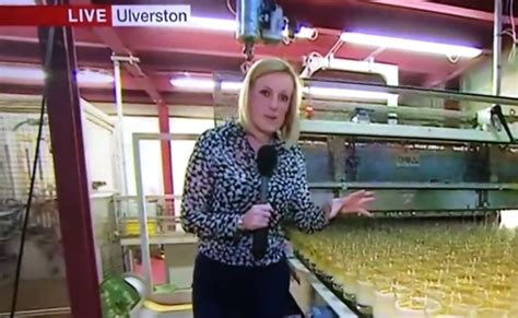 watch video of bbc breakfast presenter steph mcgovern lose it live on