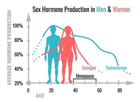 Female And Male Hormones