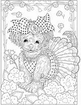 Coloring Pages Farm Dover Dressed Pets Publications Welcome Detailed Adult Animal Dog Creative Haven Book Doverpublications Books sketch template