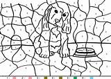 Magique Chien Coloriages Magiques Colouring Perrito Apprendre Math Enfants Domestique sketch template
