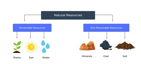 natural resources definition types  examples