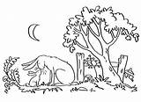 Much Guess Coloring Pages Little Hare Nutbrown Popular sketch template