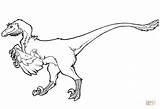 Velociraptor Coloring Raptor Pages Jurassic Dinosaur Ausmalbilder Dinosaurier Indominus Colouring Rex Printable 3d sketch template