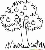 Coloring Tree Acacia Getcolorings Adult sketch template