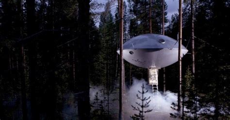 ufo hotel room  newest suite   treehotel  shaped   flying saucer