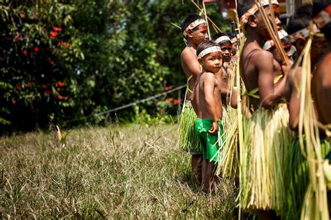 uncontacted tribes of the amazon rainforest rainforest cruises