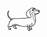 Dachshund Dog Coloring Drawing Pages Colorear Police Cartoon Clipartmag Coloringcrew Printable Dogs Book Line sketch template
