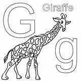Giraffe Coloring Pages Adult Getcolorings Baby sketch template