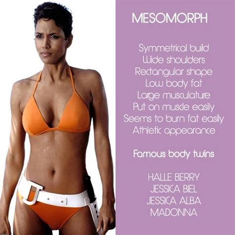 Ectomorph Mesomorph Workout Body Type Workout Mesomorph Body Type