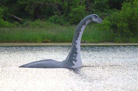 Seeing The Loch Ness Monster