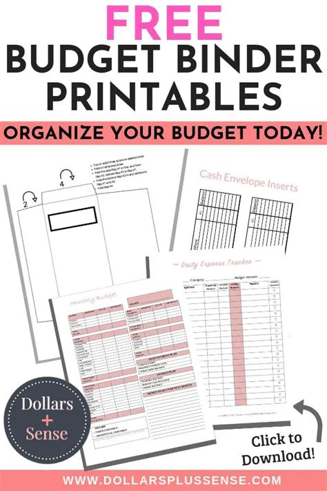 control   money    printable budget binder