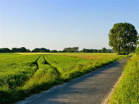background keren pemandangan hd