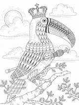 Toucan Coloriage Adults Bestcoloringpagesforkids Roi Adultes Kchungtw Coloringbay sketch template
