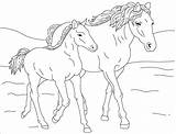 Colorat Cheval Coloriage Poulain Heste Tegninger Chevaux Planse Desene Cavallo Coloriages Colorier Animale Animaux Hest 2165 Colorare Domestice Pferde Fise sketch template