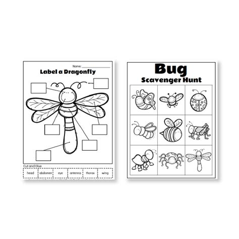 printable preschool bug activities  kids   bugs preschool