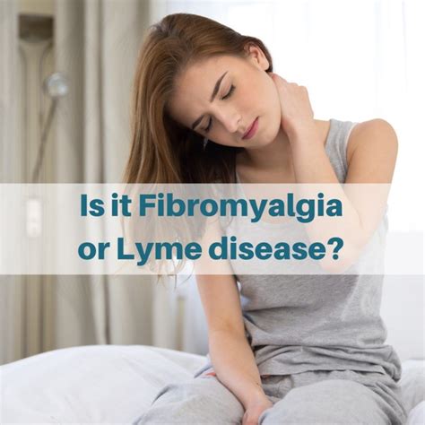 Lyme Sci Is It Fibromyalgia Or Lyme Disease