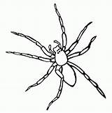 Coloring Spiders Printable Pages Color sketch template