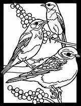 Birds Dover Coloring Publications Pages Glass Stained Bird Book Drawing Favorite Soffer Welcome Drawings Bluebird Eastern Adult Books Kids Doverpublications sketch template