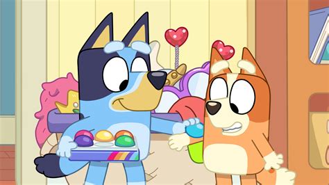 bluey season  episode  mini bluey