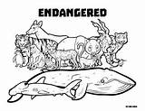 Endangered Species Science Coloring Wildlife Choose Board Animal Over Animals sketch template