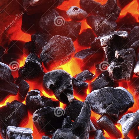 charbon  nestor coppens