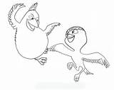 Pages Rio Coloring Nico Movie Bird Blu Template Omalovánky Papoušek Colouring Omalovanky Cz Creative Kids Birds Book sketch template