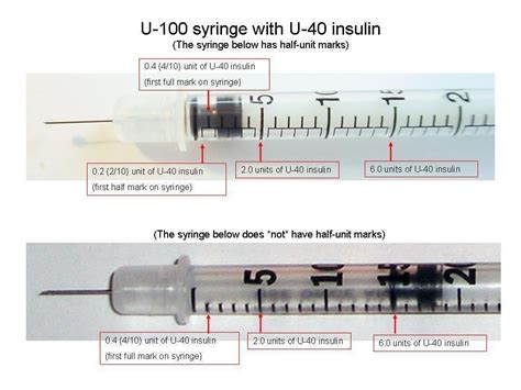 insulin   body produce diabetestalknet