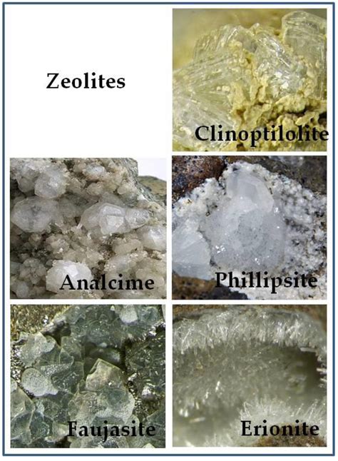 molecules  full text zeolite clinoptilolite therapeutic