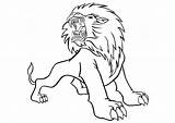 Lion Coloring Pages Roaring Printable Kids Real sketch template