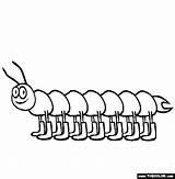 Centipede Coloring Pages Animals Insect Online Enjoy Millipede Summer Caterpillar Cute Kids Legs Lot 565px 67kb sketch template