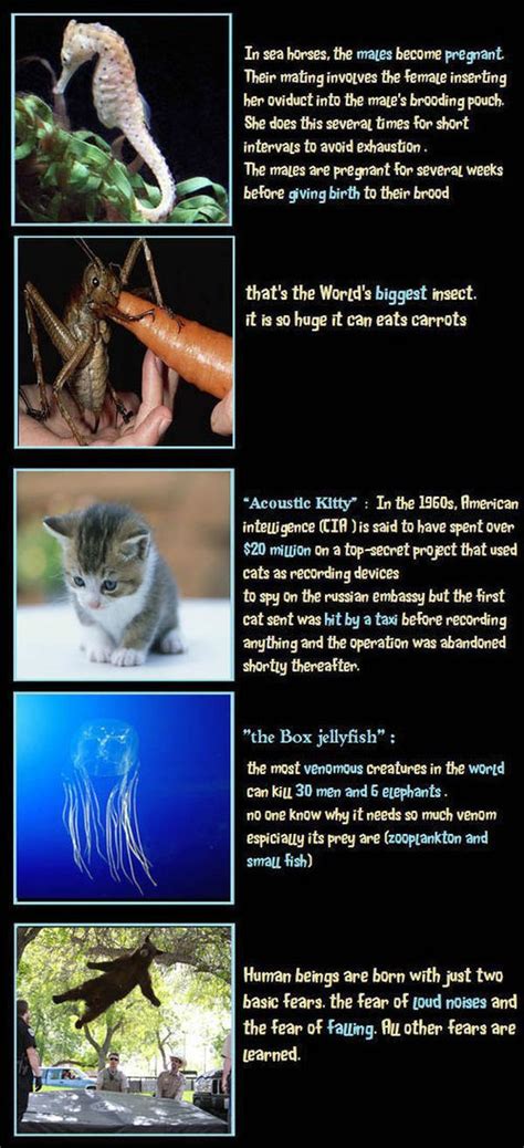 Crazy Facts You Didn T Know 10 Pics