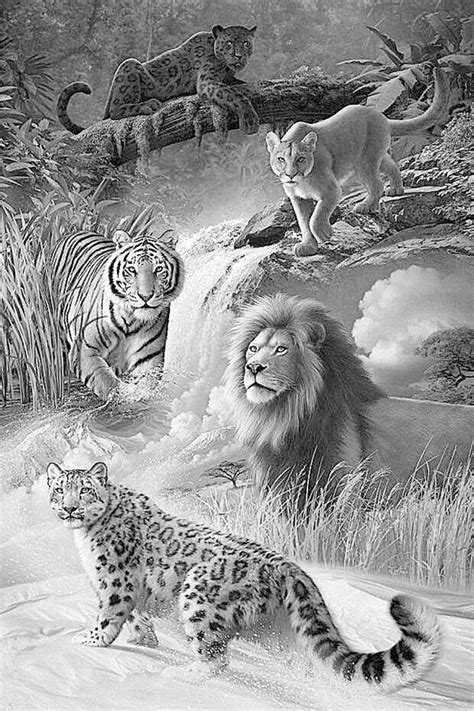 realistic jungle animal coloring pages   gmbarco