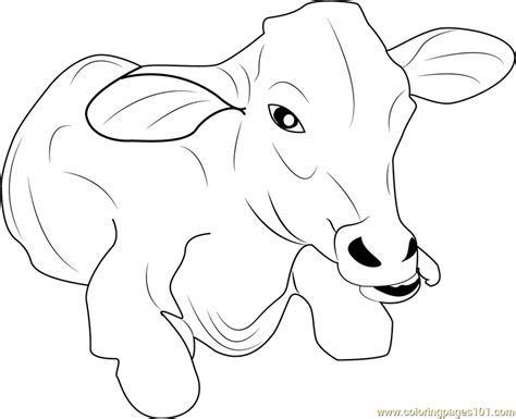 baby  coloring page  kids   printable coloring pages