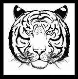 Tiger Face Drawing Coloring Tigers Simple Pages Pencil Outline Easy Draw Getdrawings Line Printable Getcolorings Color Colorings Print sketch template