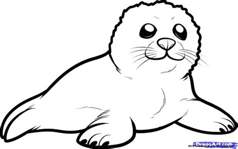 top  cute sea animals coloring pages design kids children