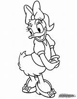 Daisy Coloring Pages Duck Disney Romantic sketch template